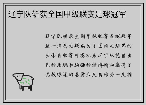 辽宁队斩获全国甲级联赛足球冠军